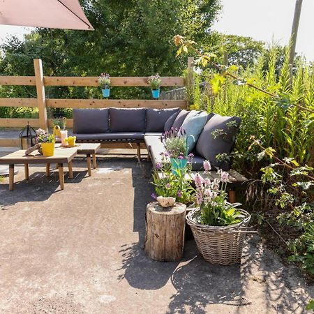 Apartamento Bed Met Paard Bergen op Zoom Exterior foto