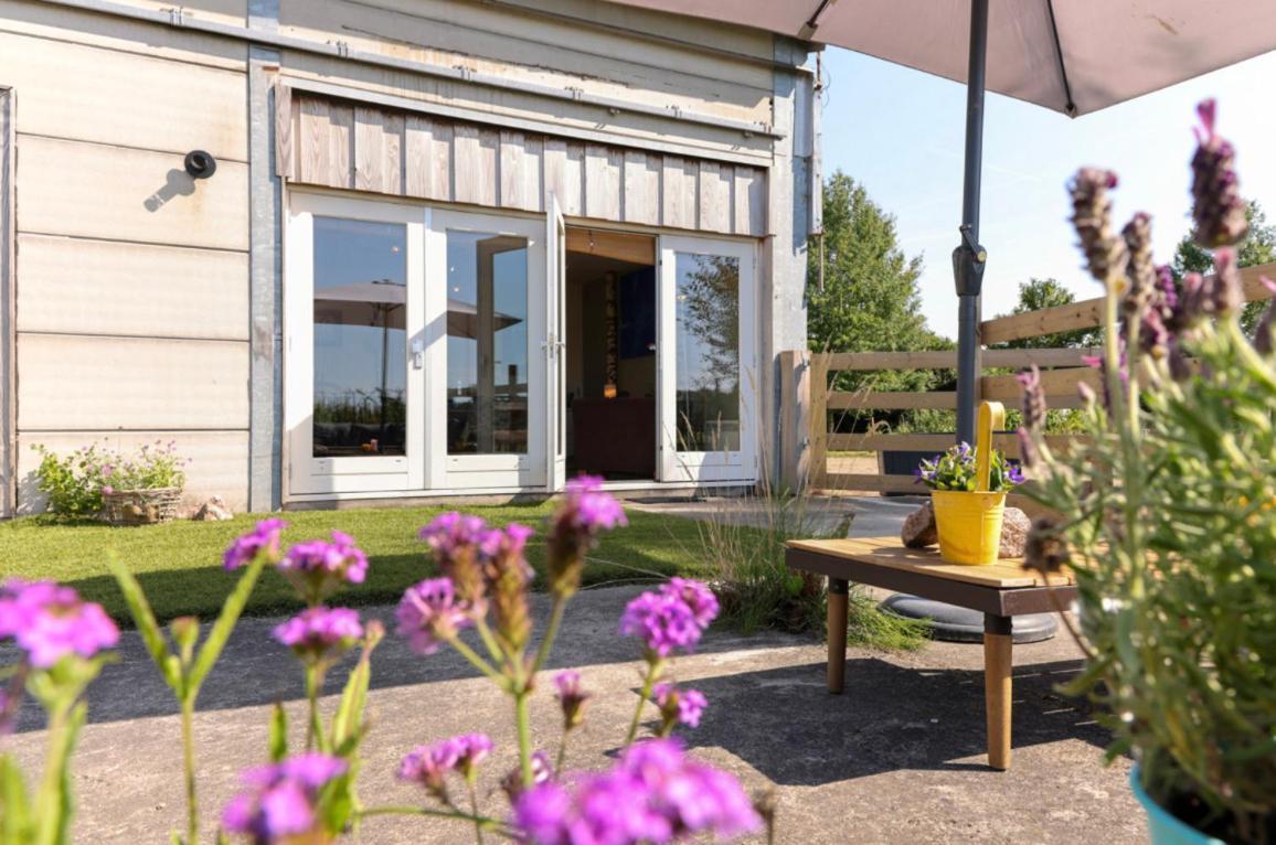 Apartamento Bed Met Paard Bergen op Zoom Exterior foto